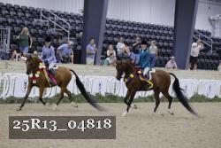 25R13_04818 thumbnail