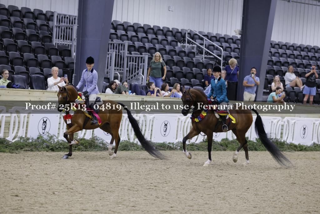 Proof Number 25R13_04819