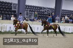 25R13_04819 thumbnail