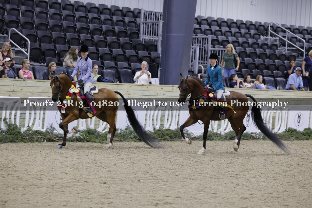 Proof Number 25R13_04820
