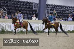 25R13_04820 thumbnail