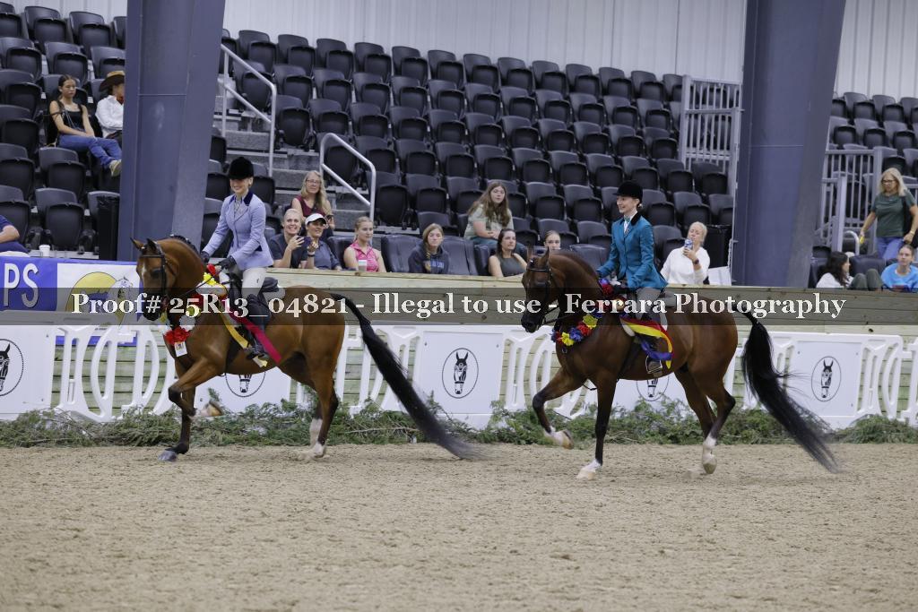Proof Number 25R13_04821