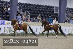 25R13_04821 thumbnail
