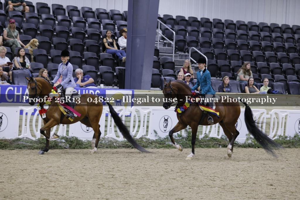 Proof Number 25R13_04822