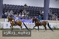 25R13_04823 thumbnail