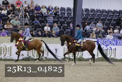 25R13_04825 thumbnail
