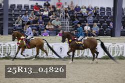 25R13_04826 thumbnail
