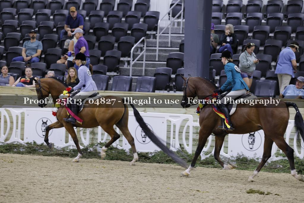 Proof Number 25R13_04827