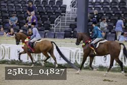 25R13_04827 thumbnail