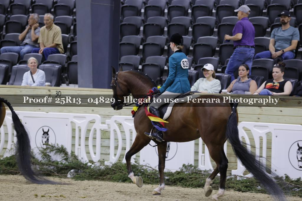 Proof Number 25R13_04829