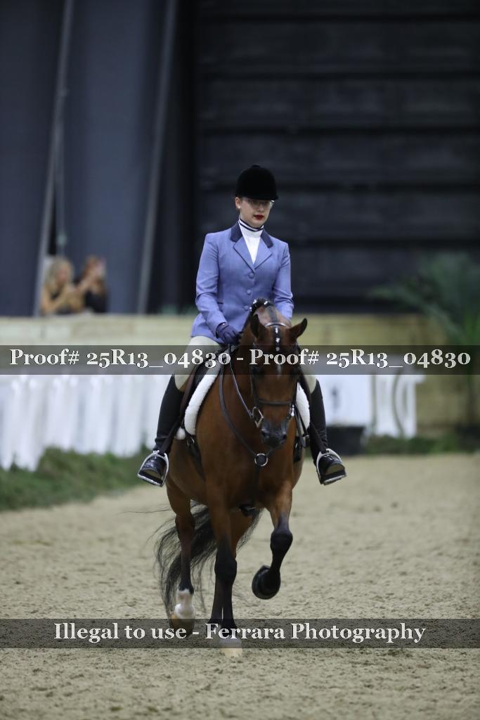 Proof Number 25R13_04830