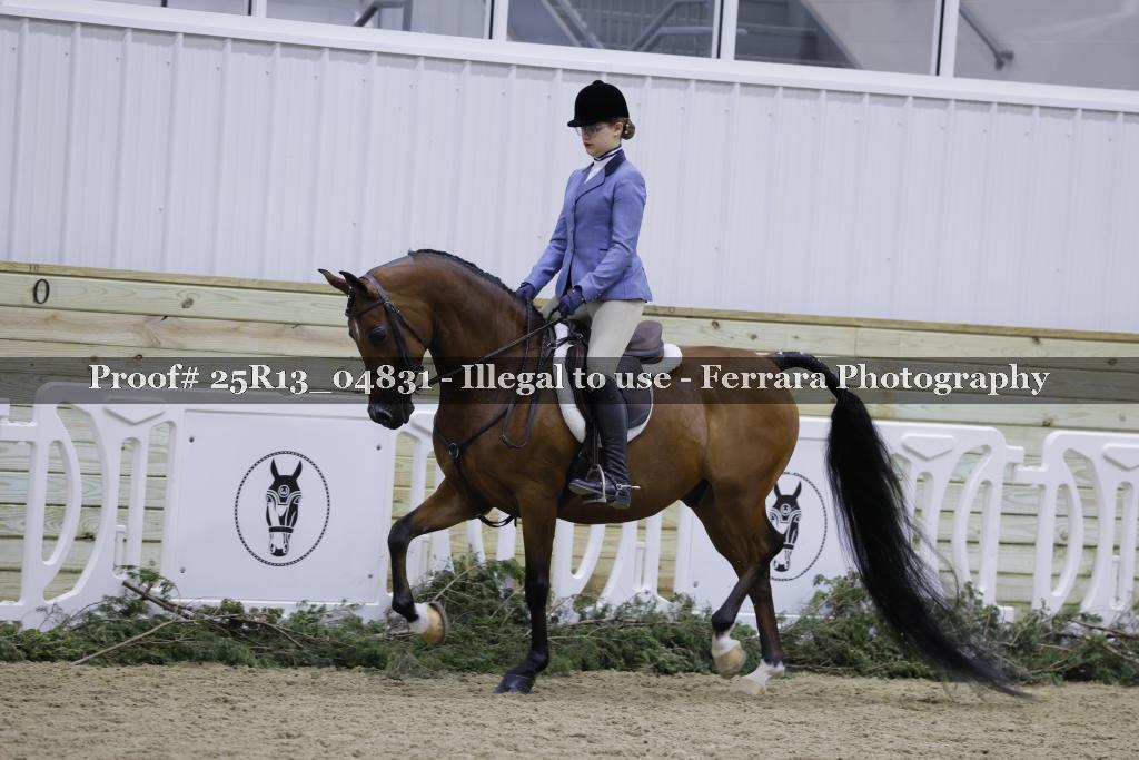 Proof Number 25R13_04831