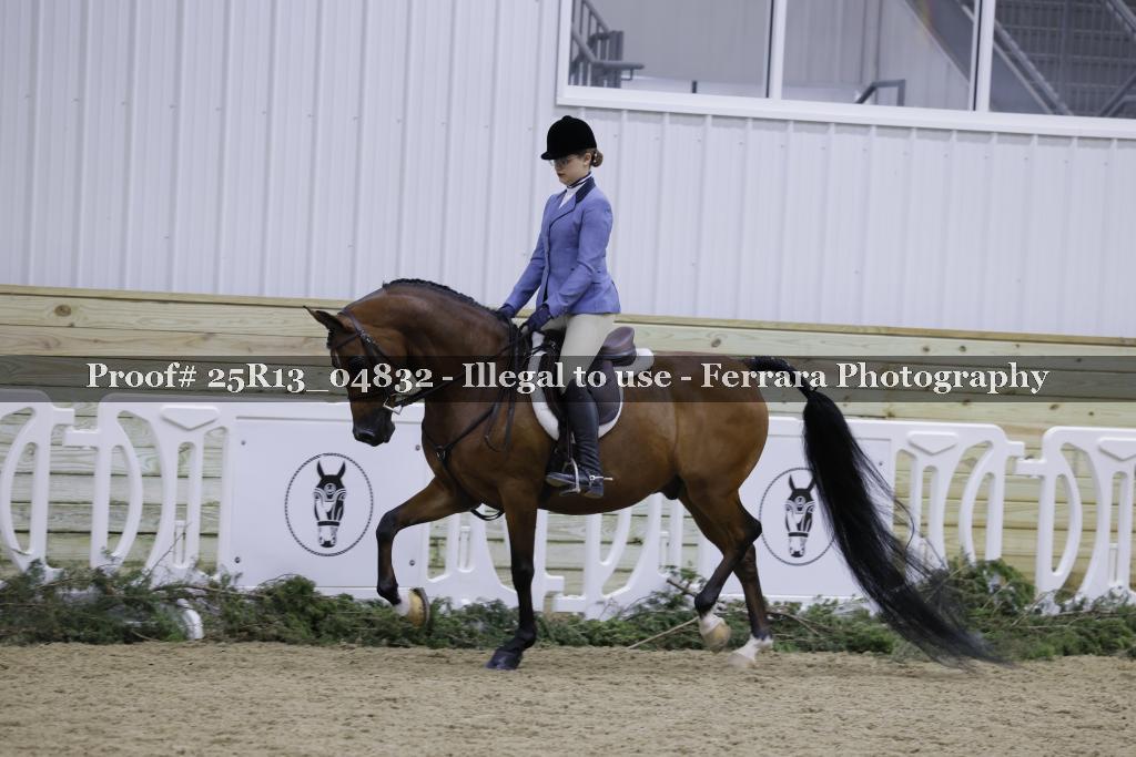 Proof Number 25R13_04832