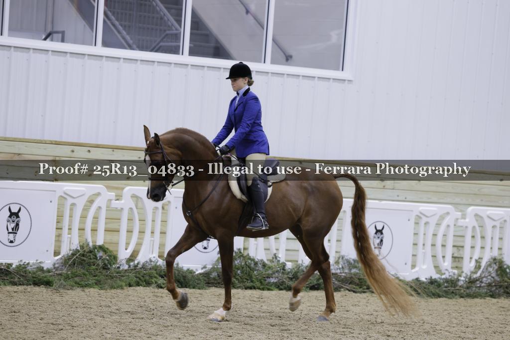 Proof Number 25R13_04833