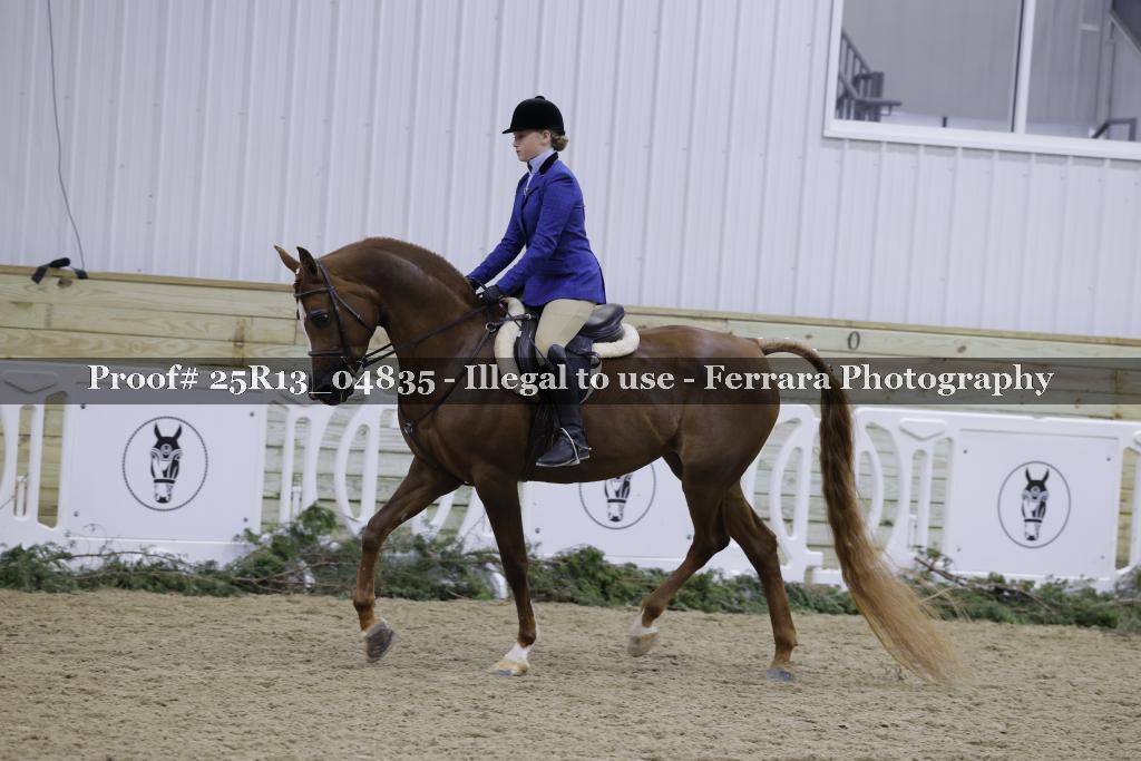 Proof Number 25R13_04835
