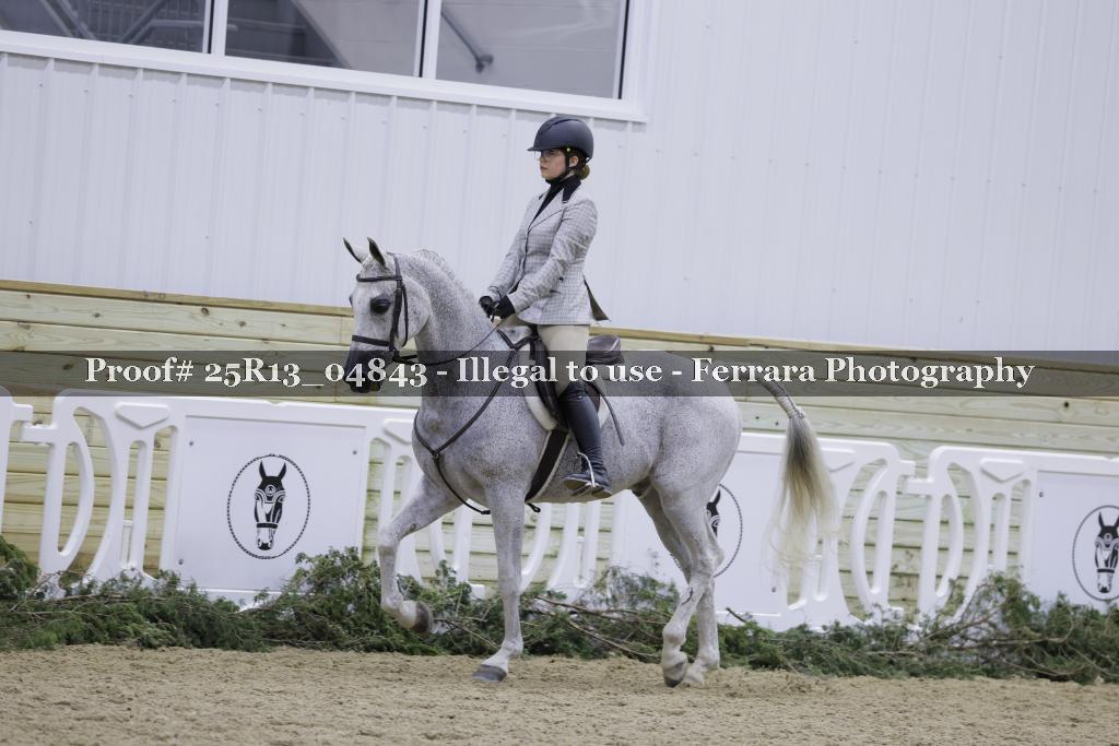 Proof Number 25R13_04843