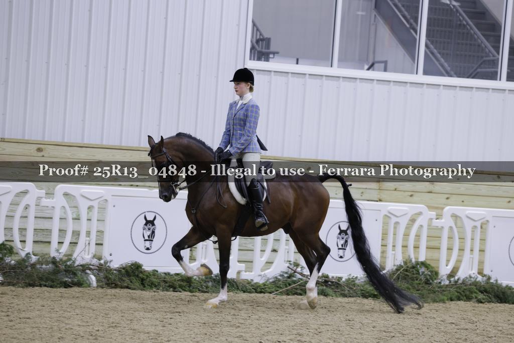 Proof Number 25R13_04848
