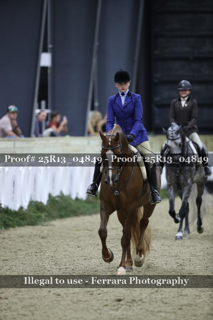 Proof Number 25R13_04849
