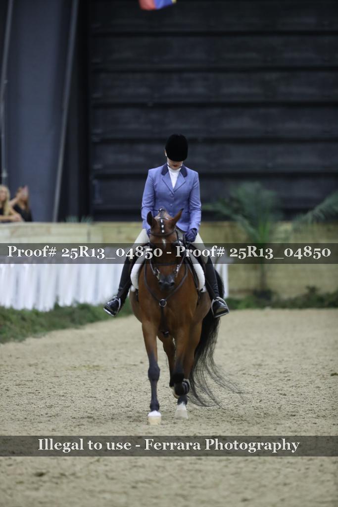 Proof Number 25R13_04850