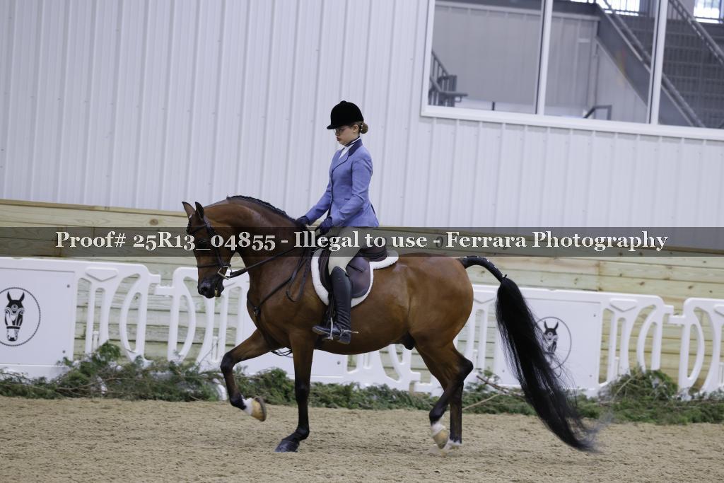 Proof Number 25R13_04855