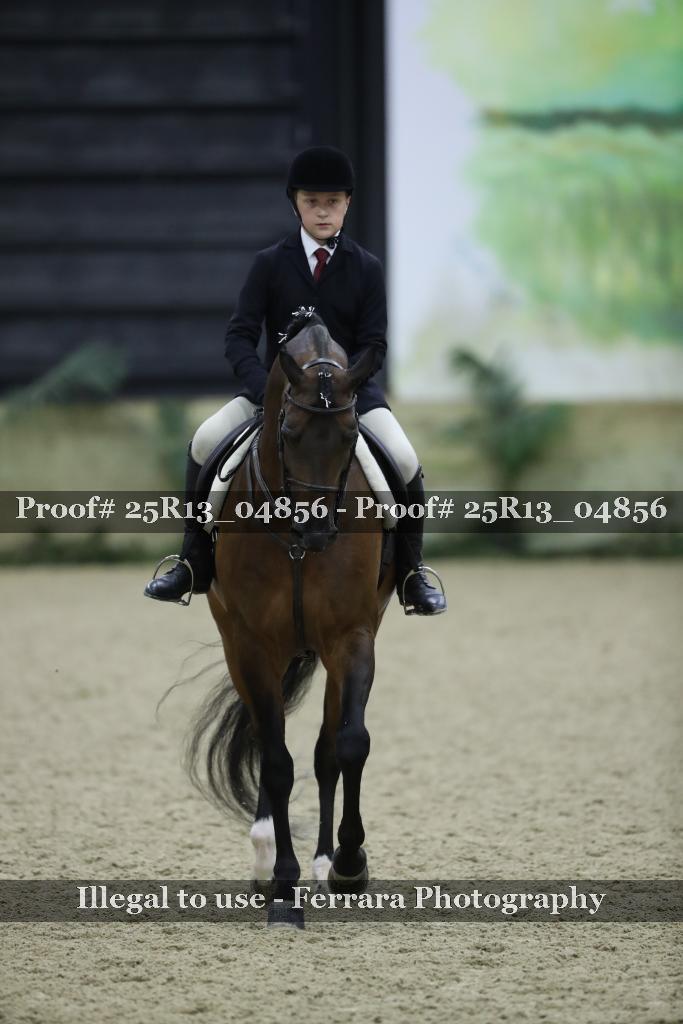 Proof Number 25R13_04856