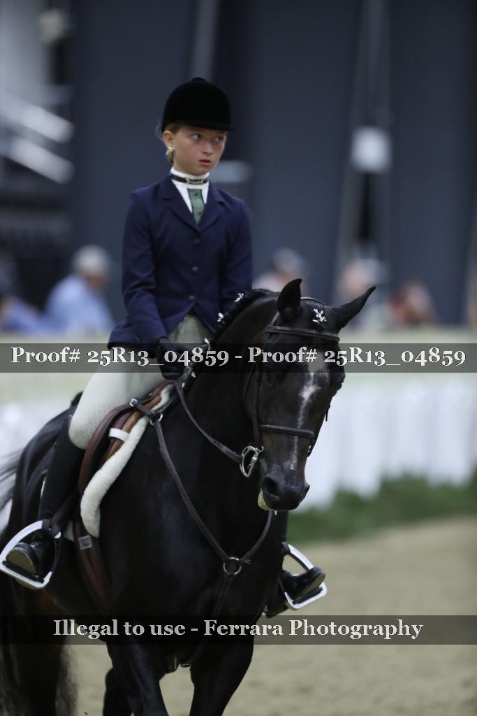 Proof Number 25R13_04859