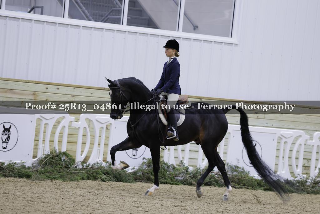 Proof Number 25R13_04861