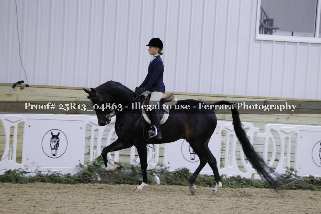 Proof Number 25R13_04863