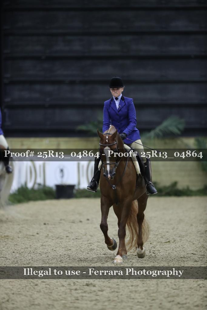 Proof Number 25R13_04864