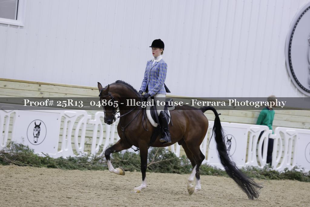Proof Number 25R13_04865