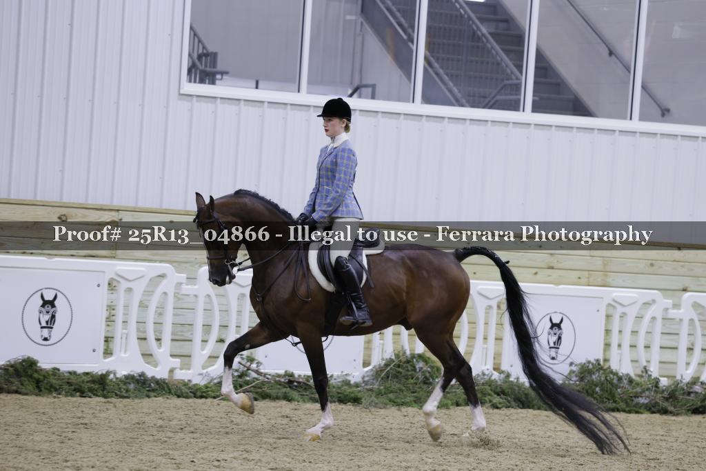 Proof Number 25R13_04866