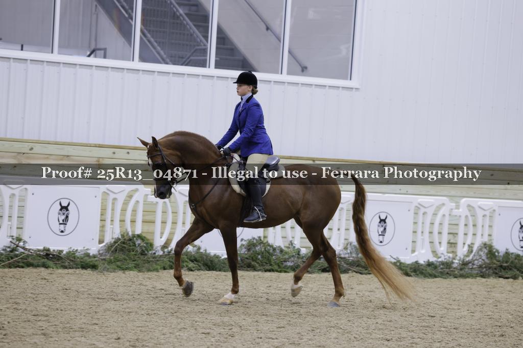 Proof Number 25R13_04871