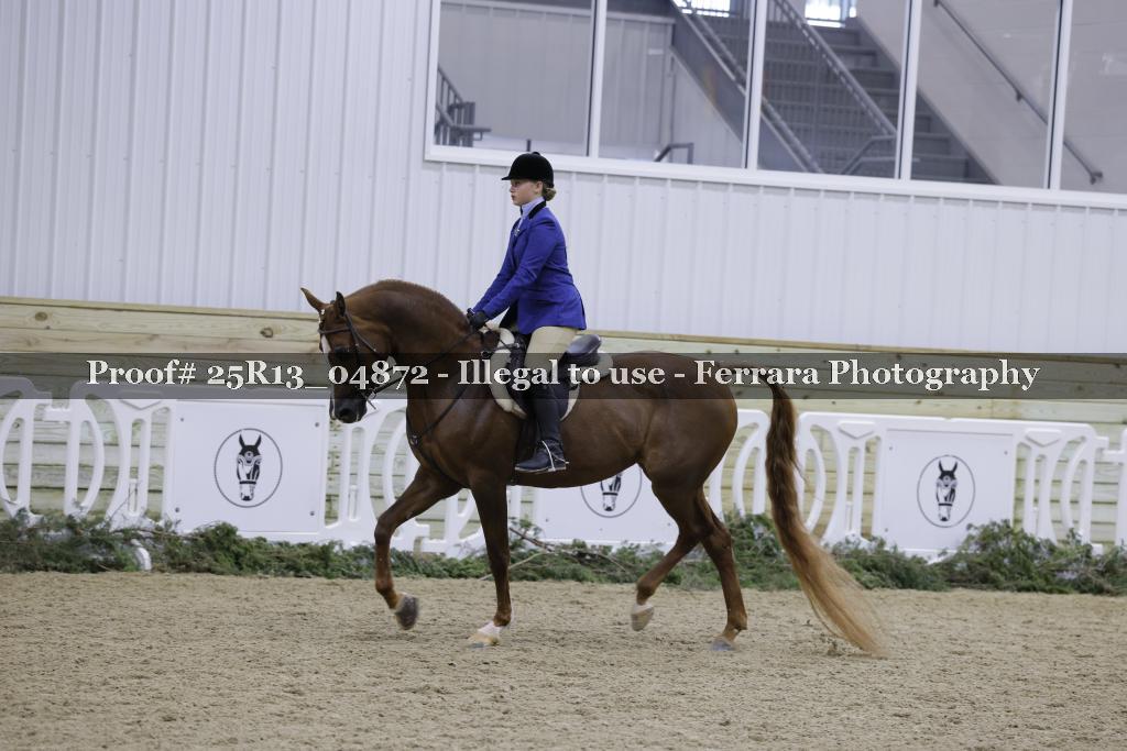 Proof Number 25R13_04872