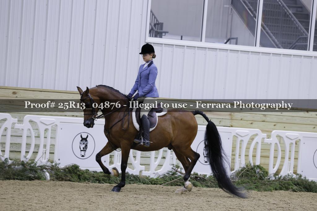 Proof Number 25R13_04876