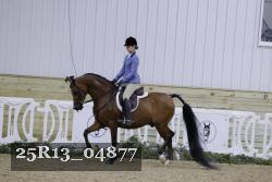 25R13_04877 thumbnail