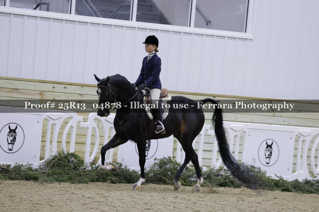 Proof Number 25R13_04878