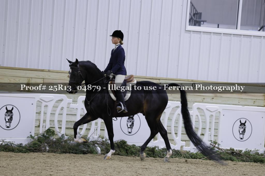 Proof Number 25R13_04879