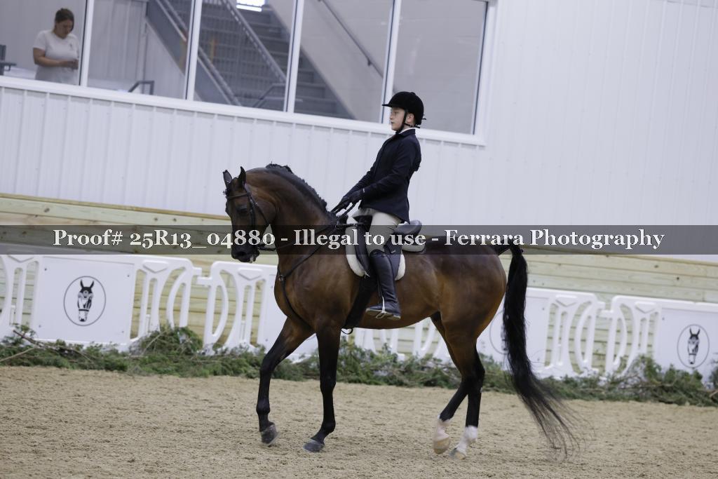 Proof Number 25R13_04880