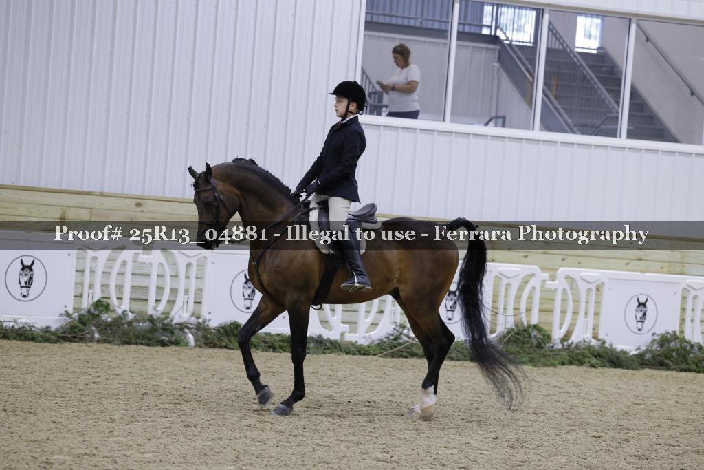 Proof Number 25R13_04881