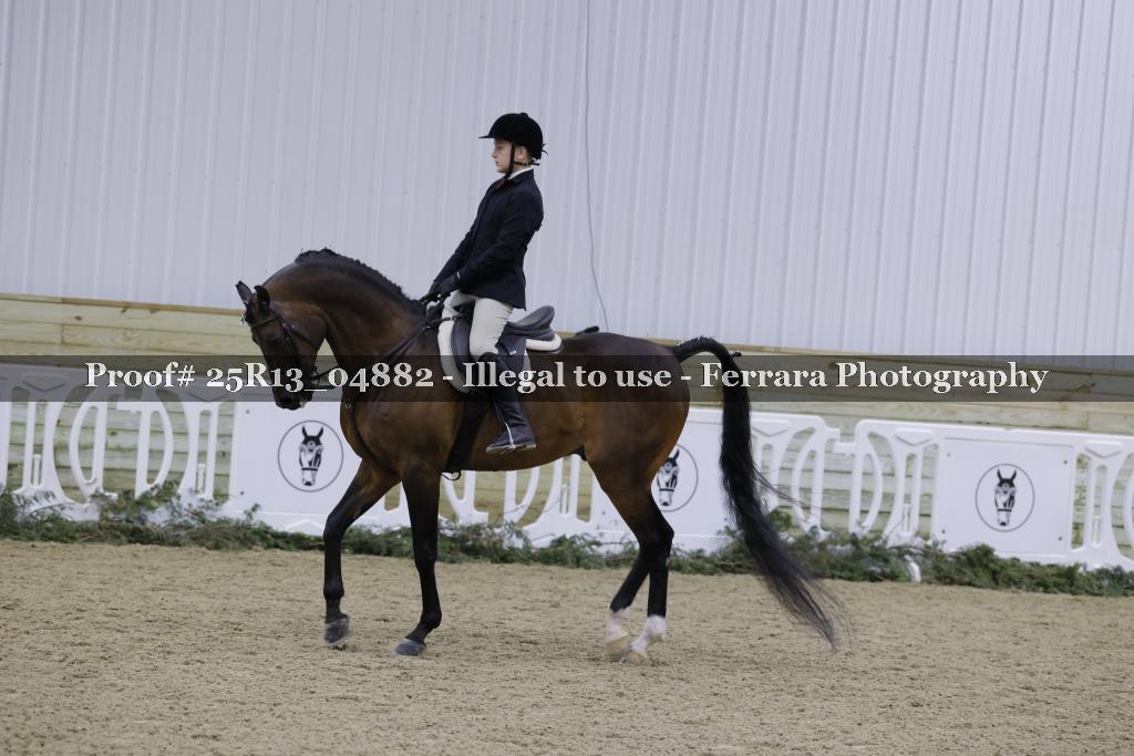 Proof Number 25R13_04882