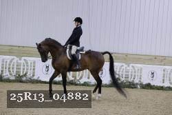 25R13_04882 thumbnail