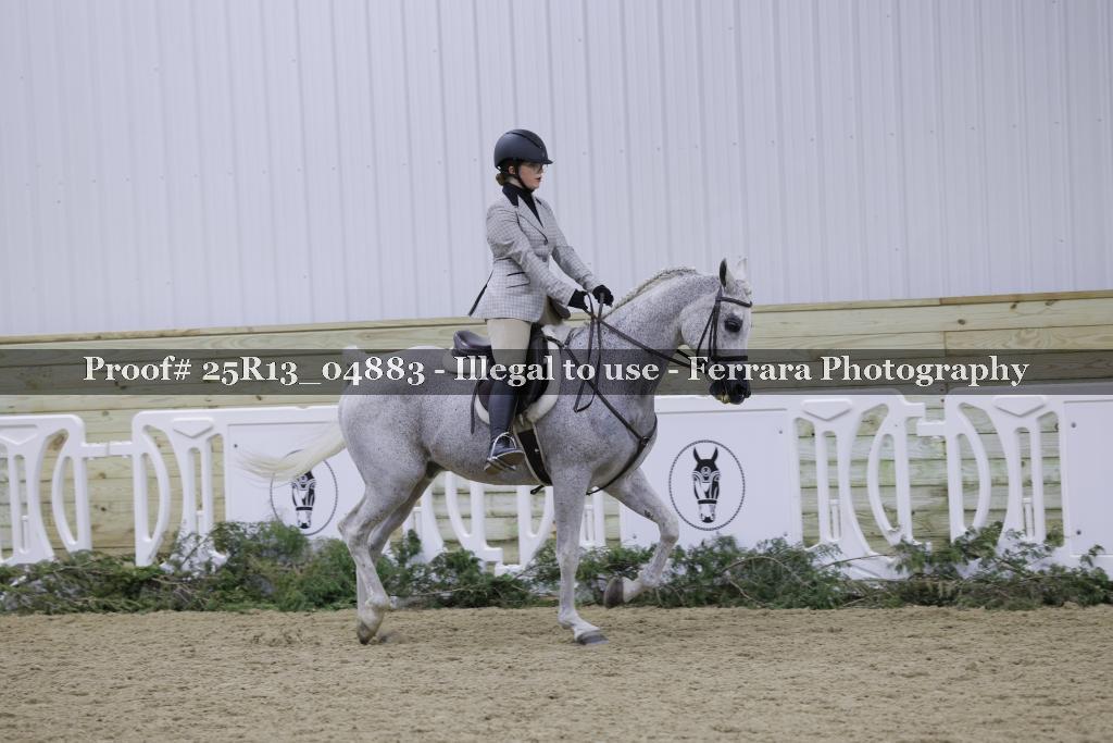 Proof Number 25R13_04883