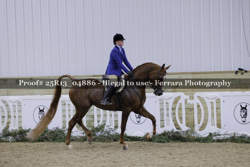 Proof Number 25R13_04886