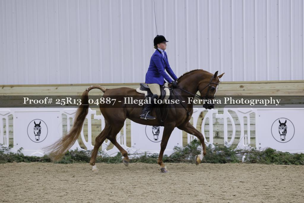 Proof Number 25R13_04887