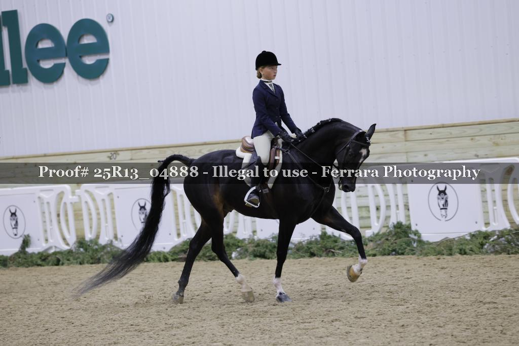 Proof Number 25R13_04888