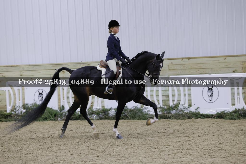 Proof Number 25R13_04889
