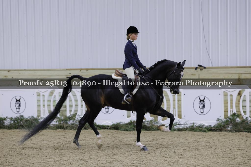 Proof Number 25R13_04890