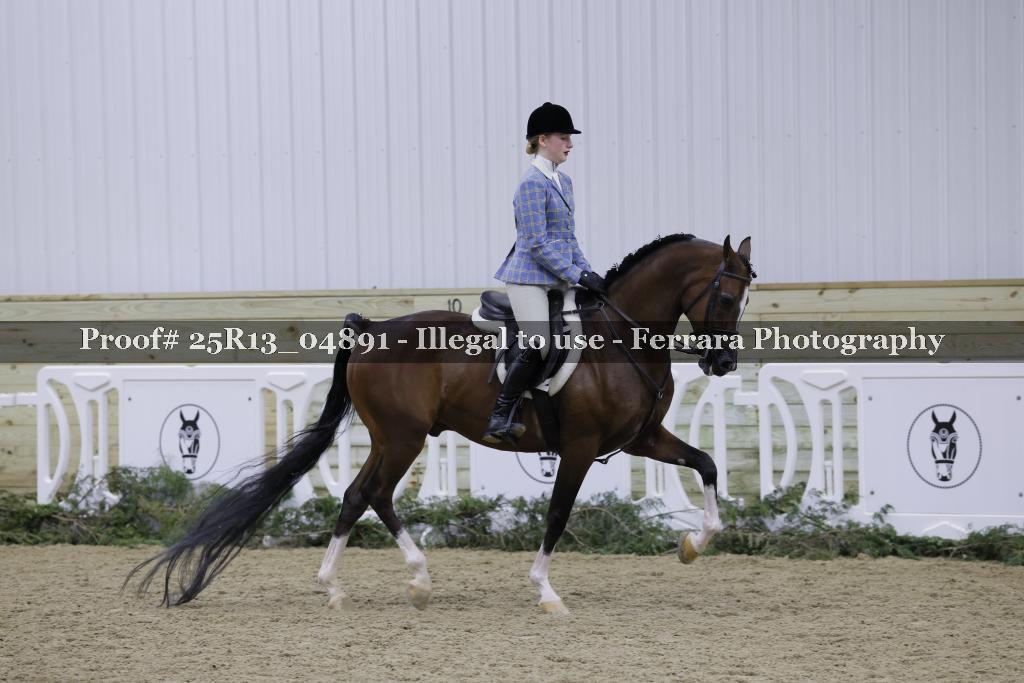 Proof Number 25R13_04891