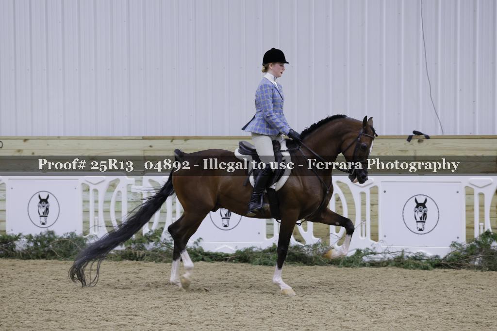 Proof Number 25R13_04892