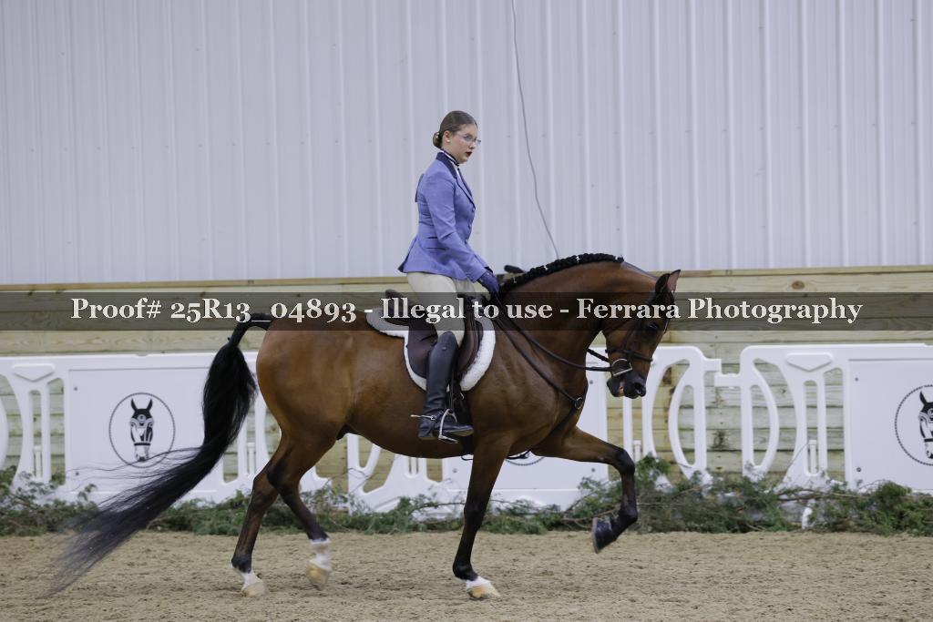 Proof Number 25R13_04893